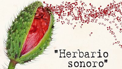 Descubre el 'Herbario Sonoro' de 'El bosque habitado'