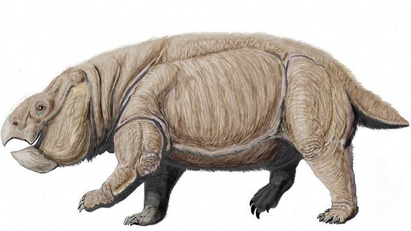 'Lisowicia bojani', el fósil que reescribe la historia de los mamíferos