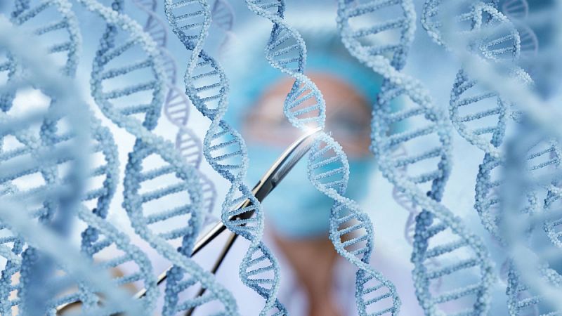 Una nueva herramienta CRISPR logra mayor precisión en la edición genética