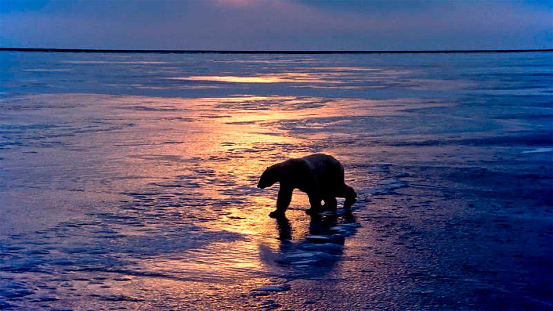 El deshielo del Ártico se acelera a un ritmo sin precedentes