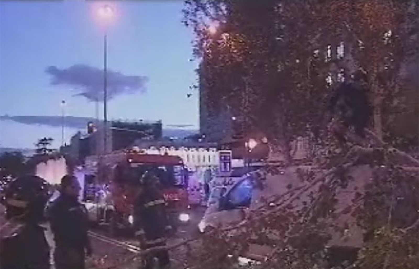Se cae un árbol sobre tres coches en Madrid sin causar heridos | Ver