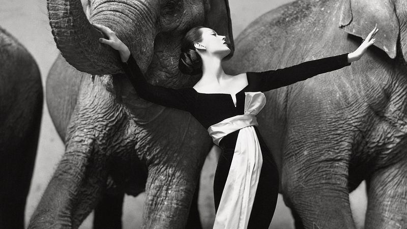 Richard Avedon: Evocador, sugestivo y elegante