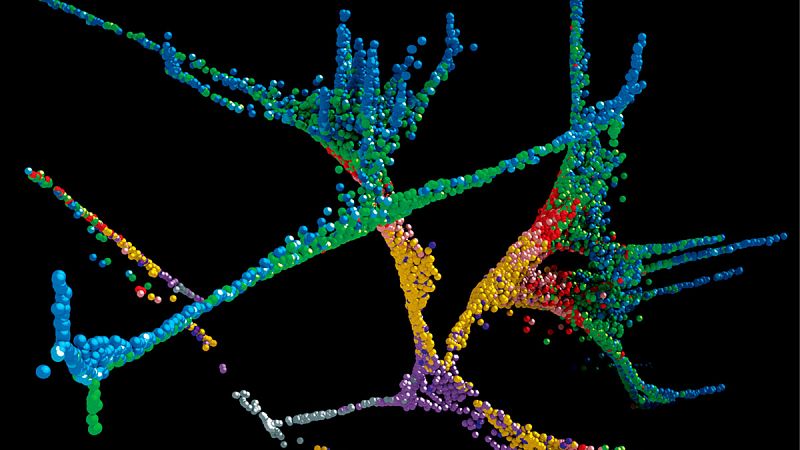El estudio de los seres vivos célula a célula, hallazgo de 2018 para 'Science'