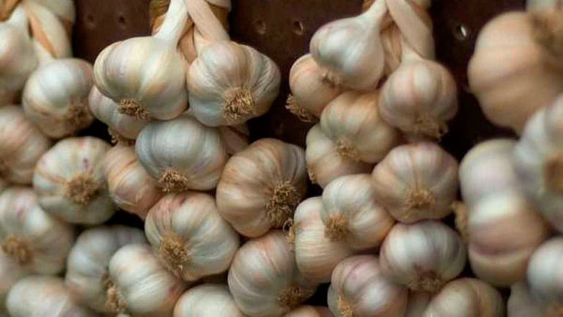 Las supuestas propiedades anticancerígenas del ajo "no están justificadas" científicamente