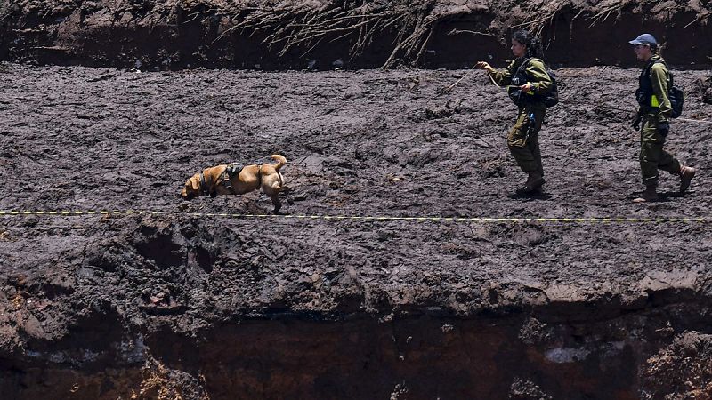 Suben a 115 los muertos y a 248 los desaparecidos por la tragedia minera en Brasil