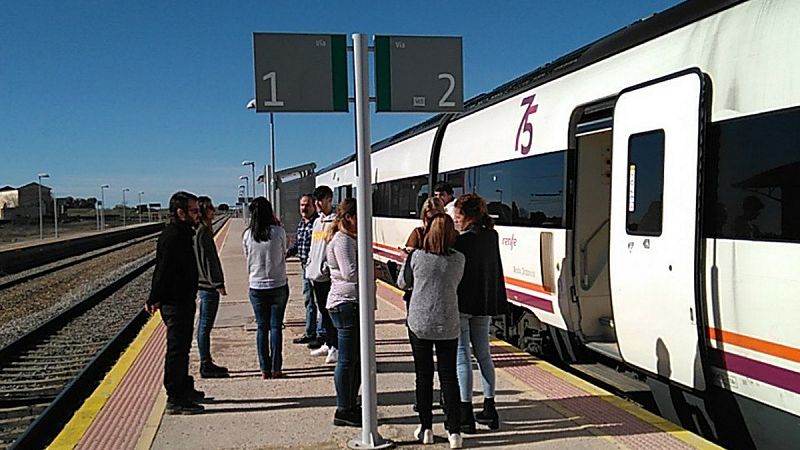 La línea de tren a Extremadura suma un incidente más: el Talgo Badajoz-Madrid arrolla un rebaño de ovejas