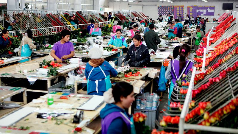 La OIT advierte de que los contratos temporales aumentan el riesgo de pobreza entre los trabajadores