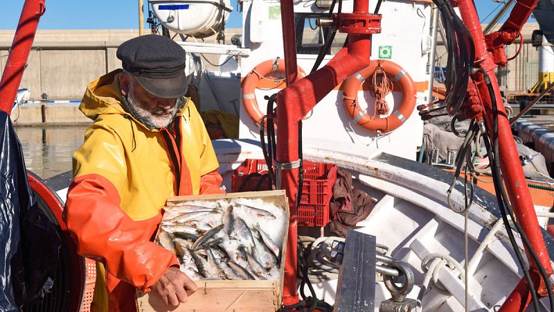La incertidumbre se apodera del sector pesquero español ante la falta de resolución del 'Brexit'