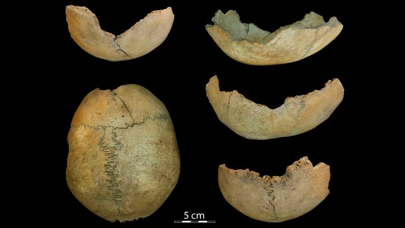 Hallan en Antequera restos que evidencian prácticas de canibalismo en el Neolítico