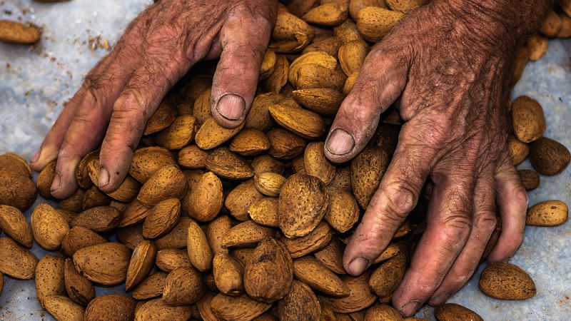 El consumo de frutos secos a largo plazo podría ser la clave para mejorar la salud cognitiva en ancianos