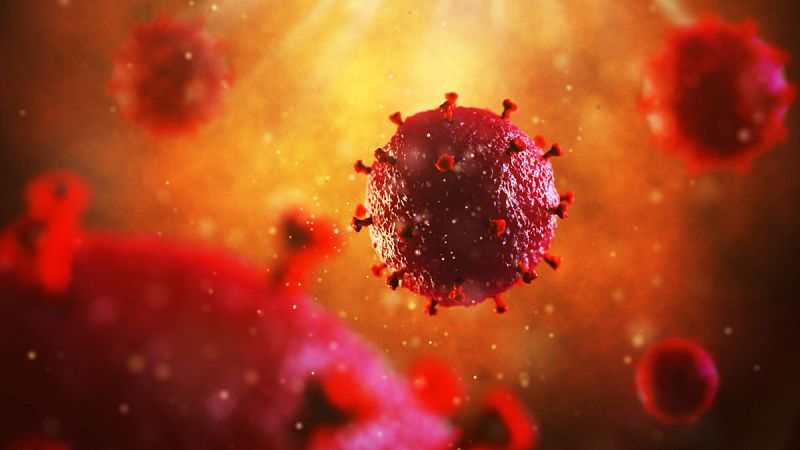 Identifican la interacción entre el talón de Aquiles del VIH y los anticuerpos más eficaces contra el virus