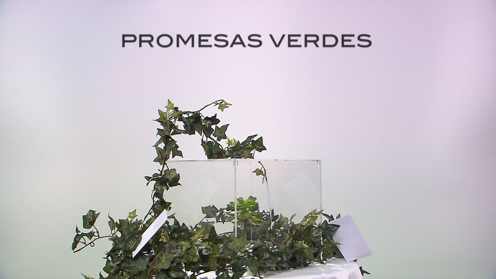 El escarabajo verde - Promesas verdes - Avance