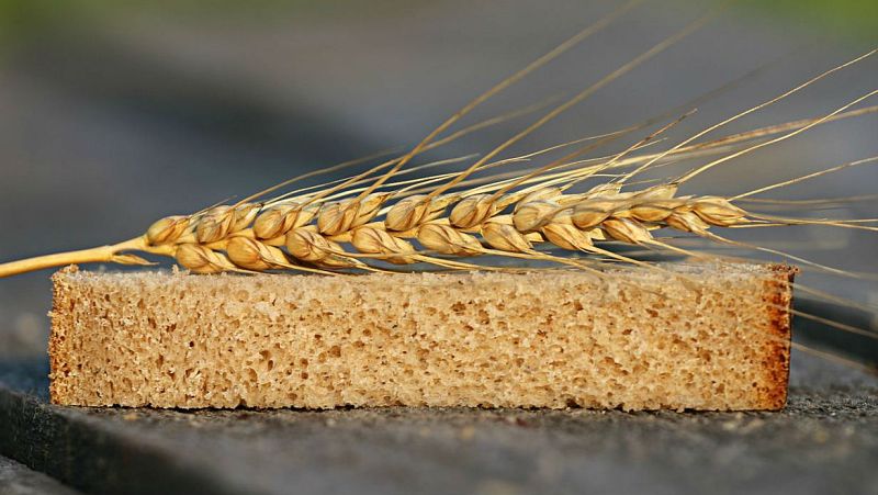 Celiaquía: una enfermedad que afecta al 1% de la población