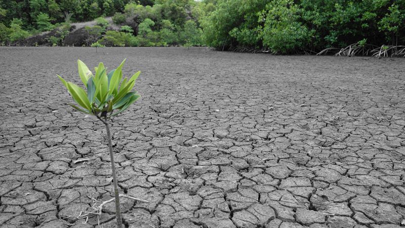 La sequía en el Caribe obliga a racionar el agua y a acometer inversiones millonarias para afrontar la situación