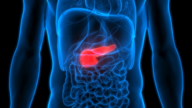 Investigadores españoles participan en el desarrollo de la primera alternativa personalizada de terapia de cáncer de páncreas