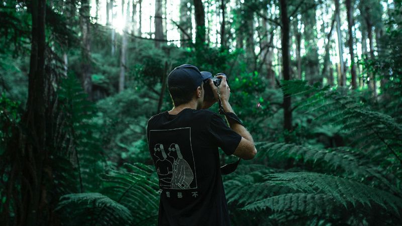 Los animales que solo podrás ver en fotografías si no cuidamos el Medio Ambiente