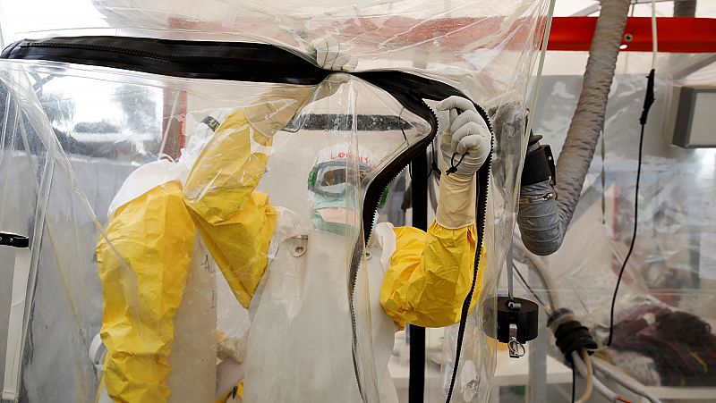 Desarrollan anticuerpos que bloquean una de las vías de contagio del ébola