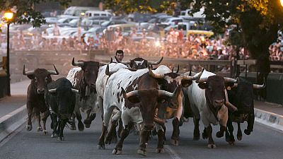 El Ayuntamiento de Pamplona sortear� 2.800 pases para los encierrillos de los Sanfermines