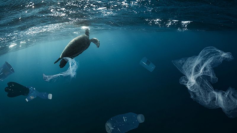 Alrededor de 13 millones de toneladas de plástico se filtran en los océanos cada año