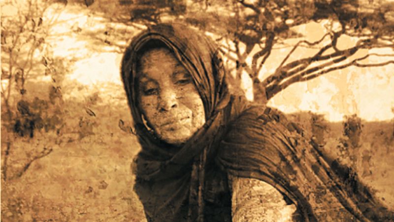 'Las acacias del éxodo', un libro sobre la memoria y la esperanza de los saharauis