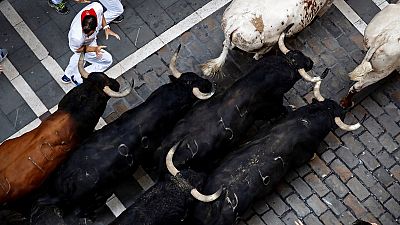 Diccionario taurino para comprender los Sanfermines