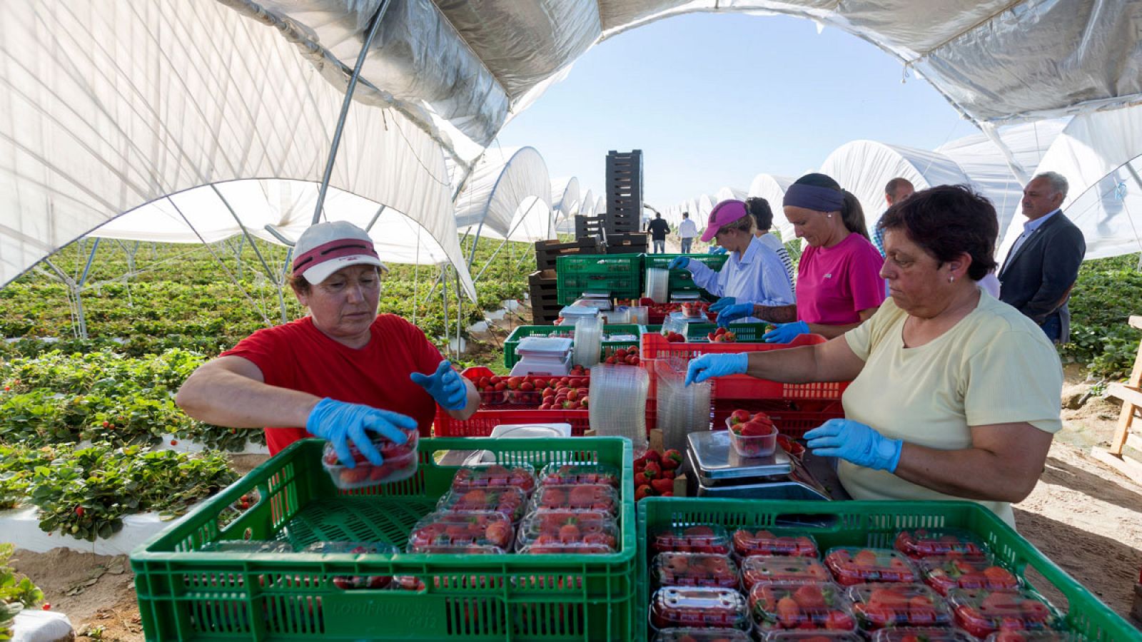 La Seguridad Social suma 68.749 afiliados extranjeros en mayo y marca su máximo histórico