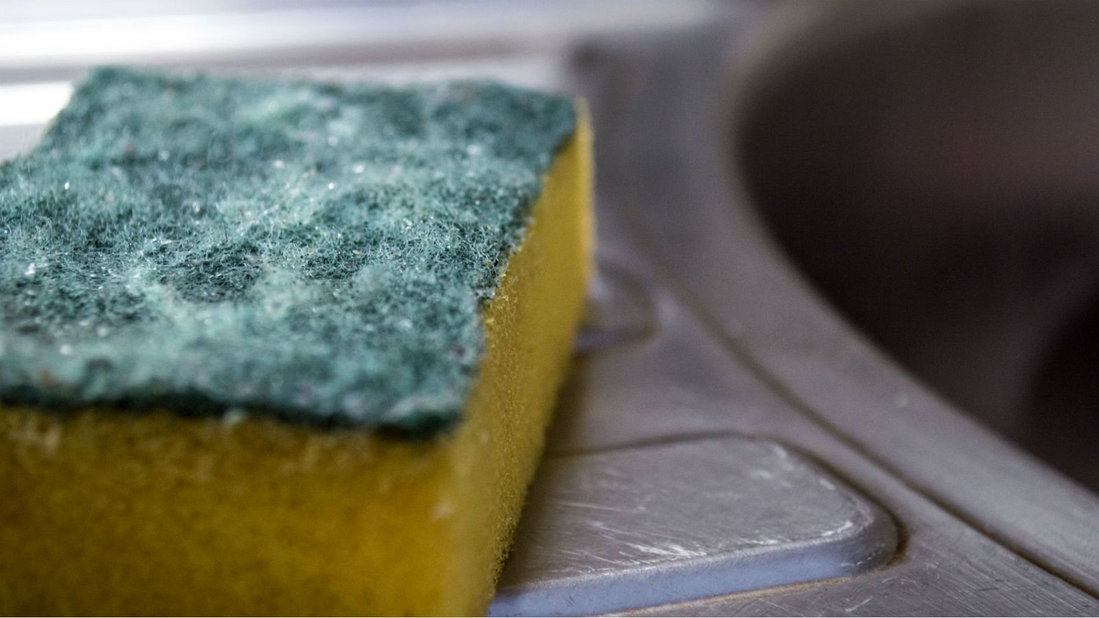 En los estropajos de cocina habitan virus que matan a bacterias resistentes a los antibióticos