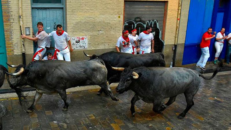 Ganadería José Escolar, 'victorinos' puros e imprevisibles