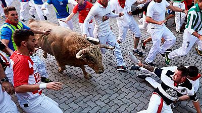 Ganader�a N��ez del Cuvillo, toros bravos de verdad