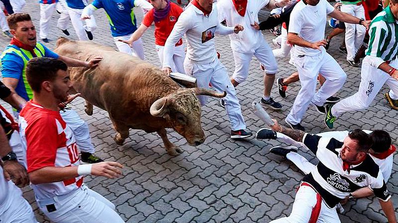 Ganadería Núñez del Cuvillo, toros bravos de verdad