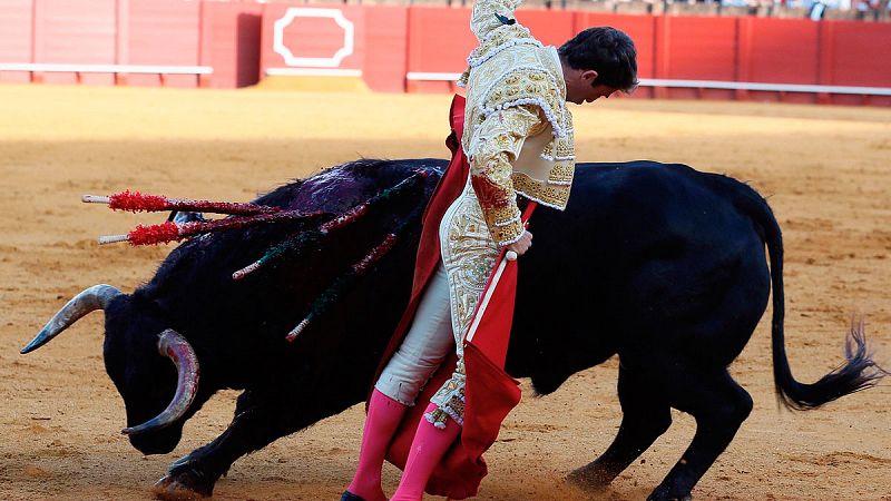 Ganadería La Palmosilla, debutante en San Fermín