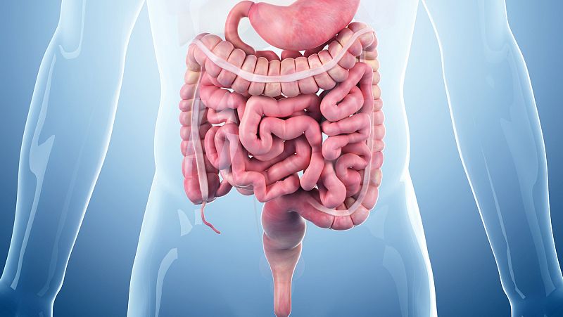 Un estudio demuestra que el párkinson se origina en el tracto digestivo
