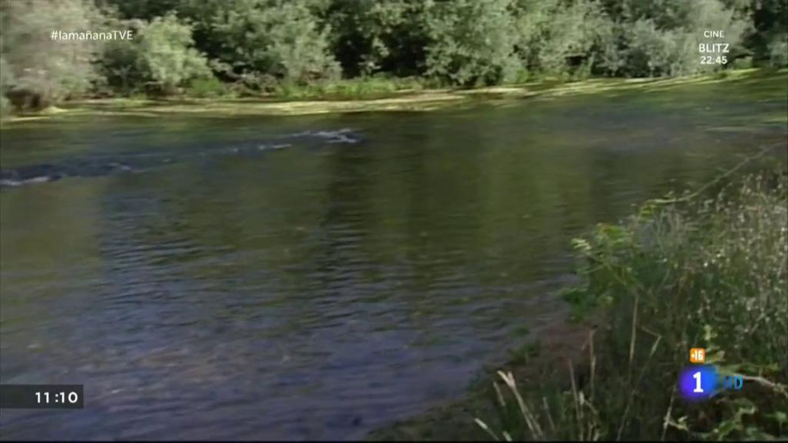 Niño de 8 años salva a su familia | Ver