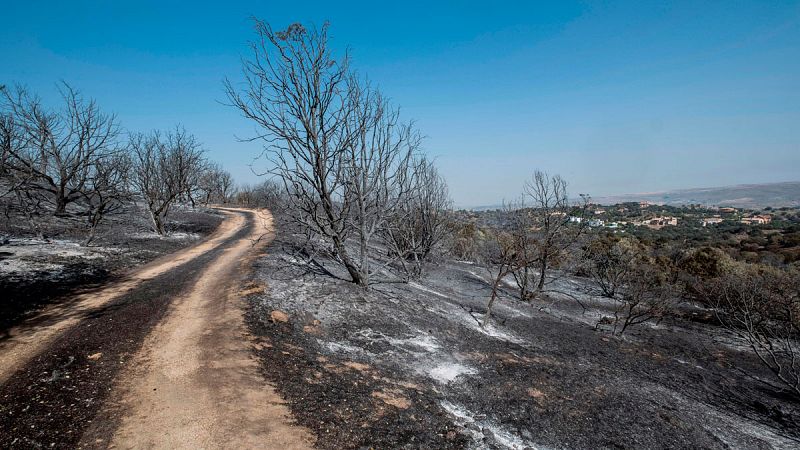 Más de 10.000 hectáreas quemadas en los fuegos de Tarragona, Toledo y Ávila 
