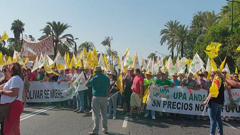 Miles de agricultores se movilizan por la crisis de precios del aceite de oliva