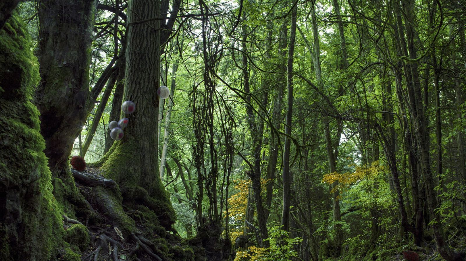 Metrópolis - Eco-Visionarios - ver ahora