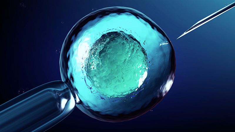 Japón autoriza las primeras investigaciones con embriones creados con células humanas y animales