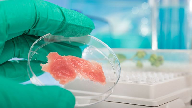 Carne artificial, el alimento de laboratorio que aspira a salvar al planeta