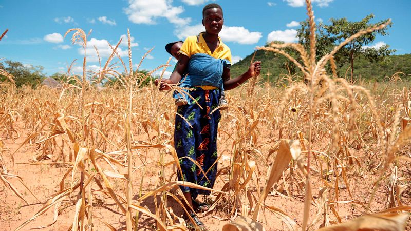 La sequía en Zimbabue deja a cinco millones de personas al borde del hambre