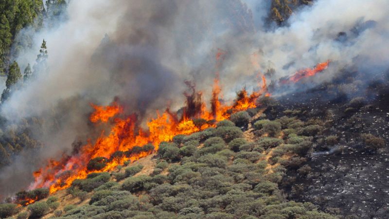 Un incendio en Gran Canaria obliga a evacuar a unas 400 personas