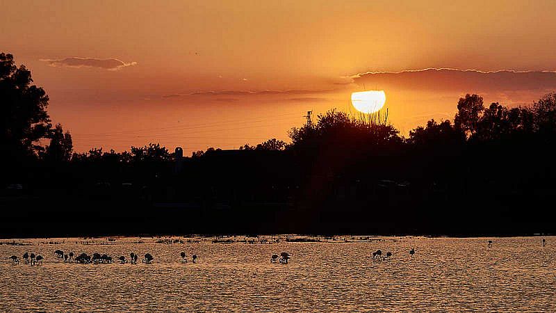 El Parque Nacional de Doñana cumple 50 años con su futuro aún amenazado