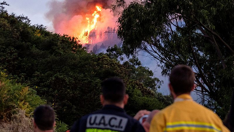 El incendio de Gran Canaria sigue fuera de control, con 6.000 hectáreas afectadas y 9.000 evacuados