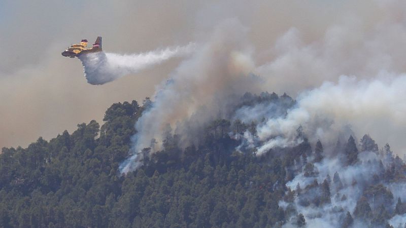 El incendio de Gran Canaria remite y se espera que los evacuados regresen a sus hogares en las próximas horas