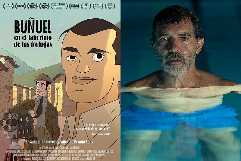 'Buñuel en el laberinto de las tortugas' y 'Dolor y gloria', participadas por RTVE, preseleccionadas para los Oscar 2020