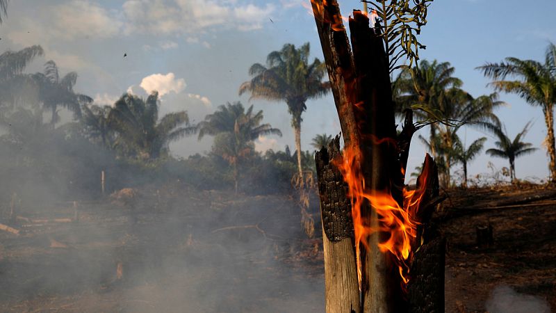 El récord de incendios amenaza la selva amazónica