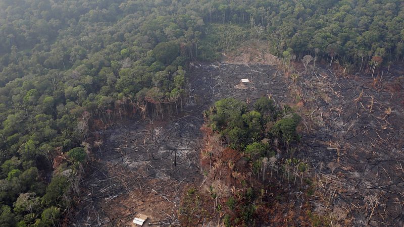 La Fiscalía federal de Brasil investiga la deforestación y los incendios en la Amazonia