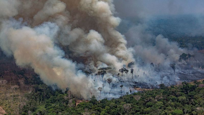 Los miembros del G7 ofrecen 20 millones de dólares para ayudar a contener los incendios en el Amazonas