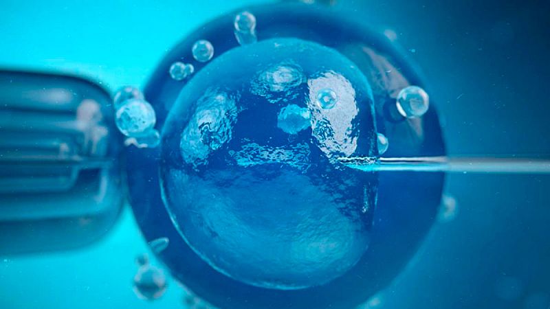 ¿Llega el fin de los donantes anónimos de esperma y óvulos?