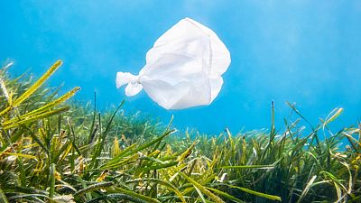 La contaminación por microplásticos ya ha alcanzado el Ártico