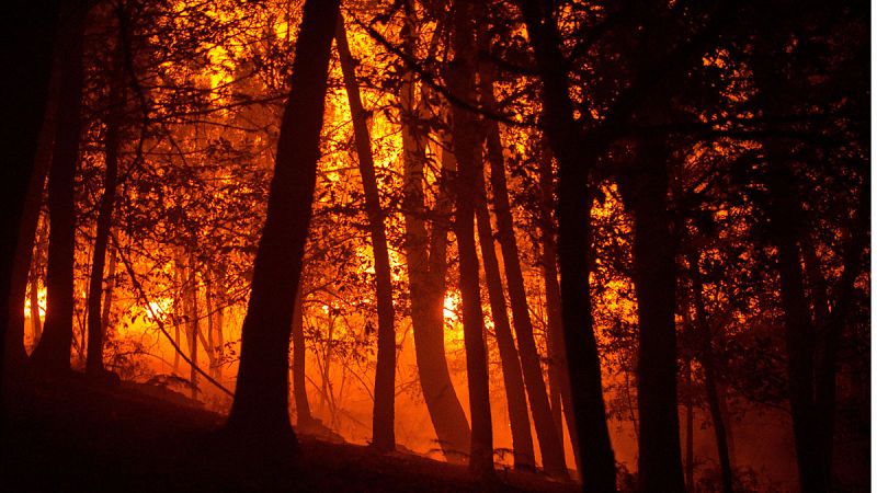 Los incendios arrasan casi cuatro veces más de superficie que el año pasado
